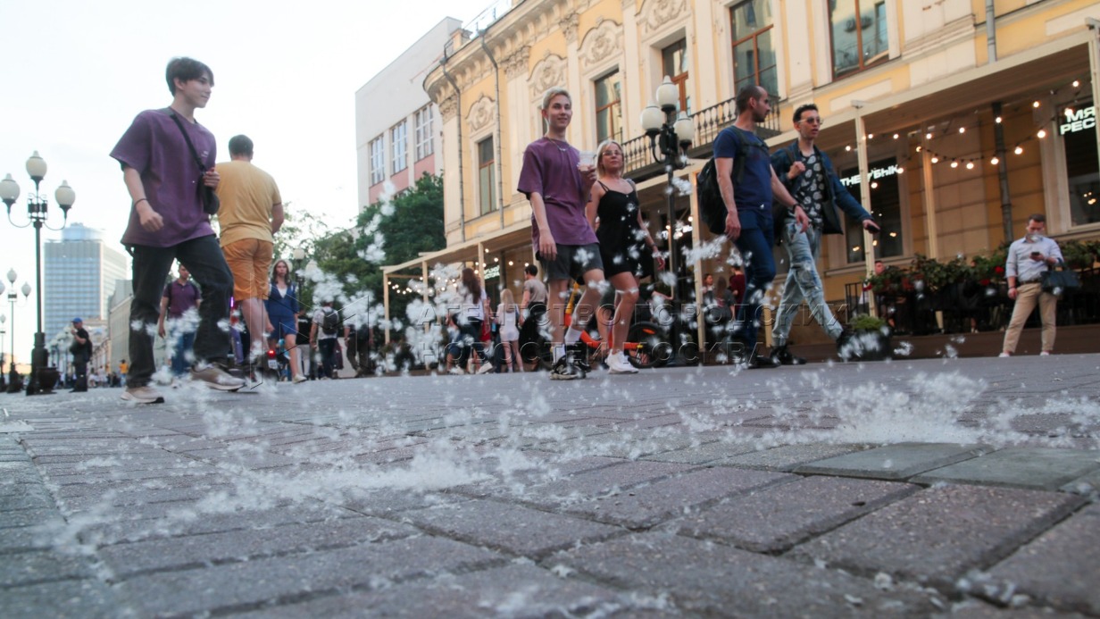 Москвичи привыкли к тополиным «метелям» в июне, а в этом году погодные условия способствовали их образованию в мае
