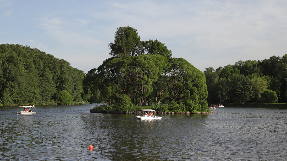Погода в Москве 28 июня