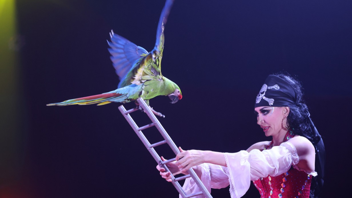 Дрессировщица попугаев Майя Артемьева в цирке шапито