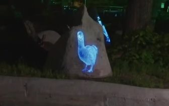 Вымершую птицу Додо «воскресили» в Московском зоопарке