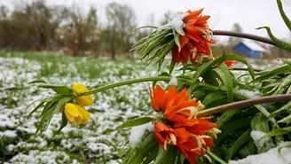 Первый снег пошел в Москве