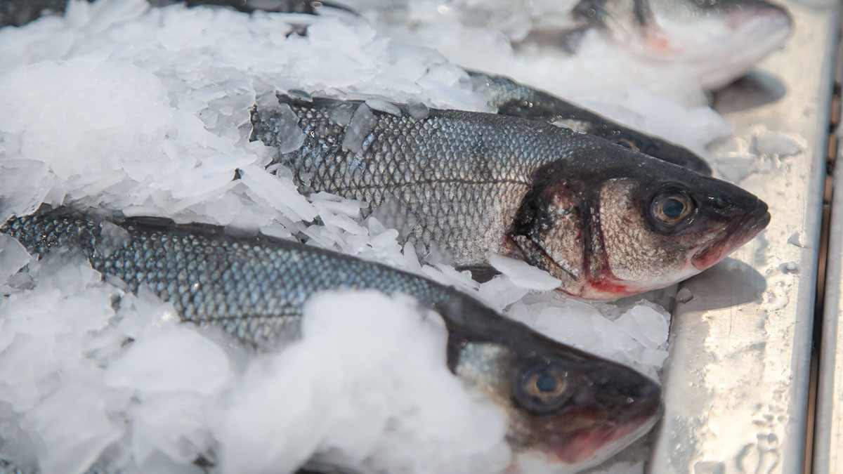 Интерес москвичей к свежему улову на рыбном рынке повысился