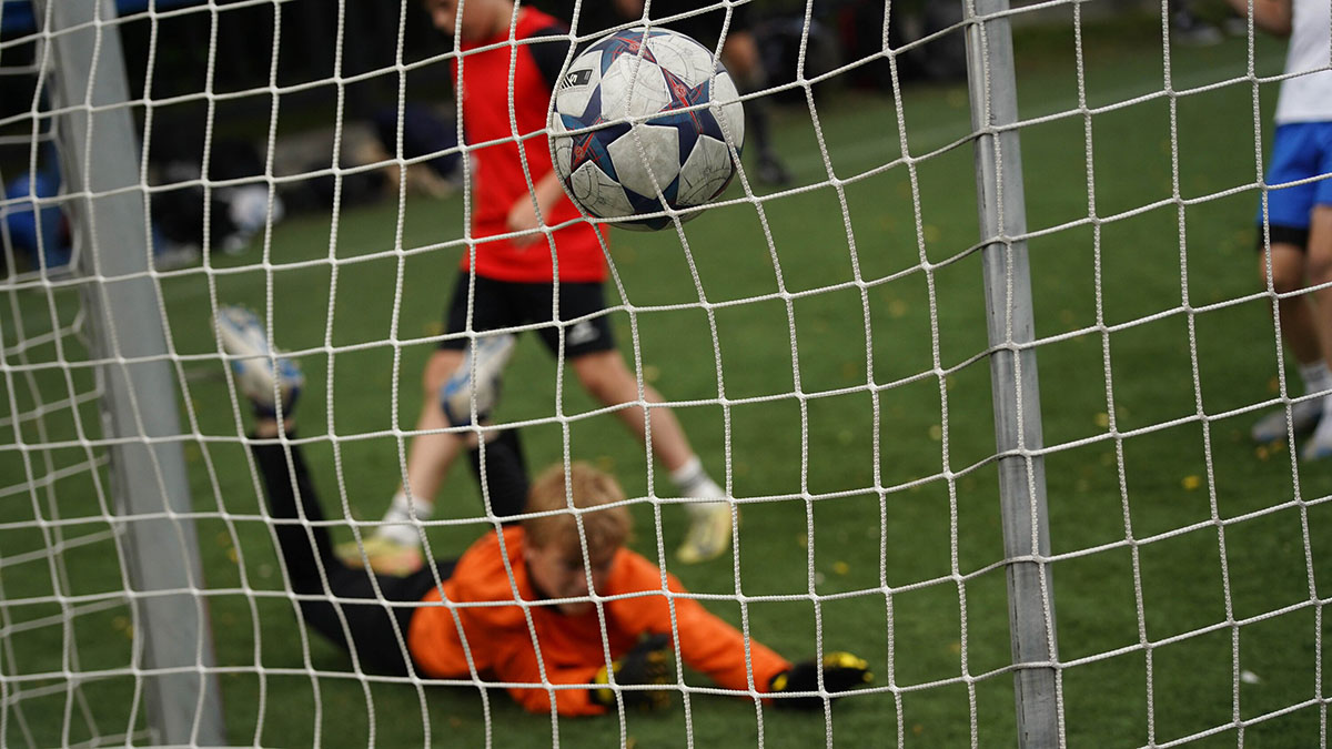 Удивительное рядом