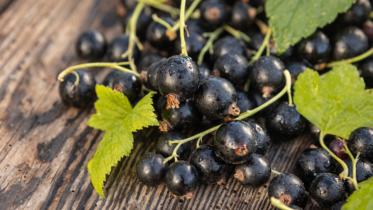 Праздники 14 июля