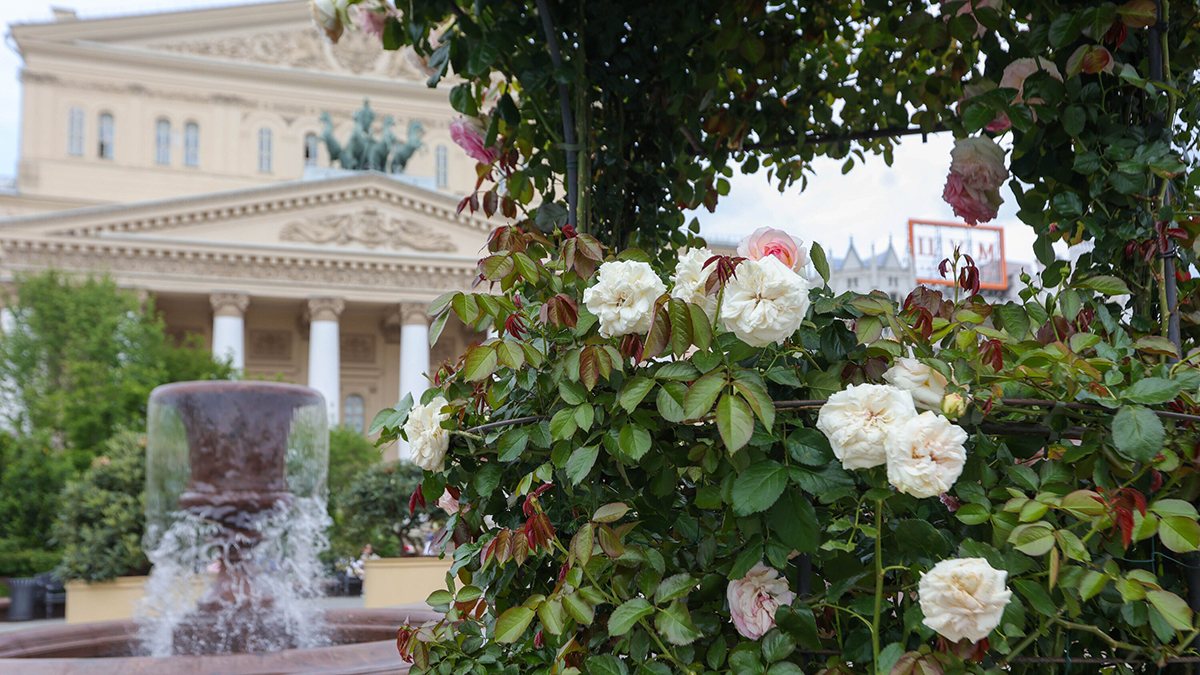 «Тело изнашивается»: балерина назвала возраст выхода на пенсию в Большом театре