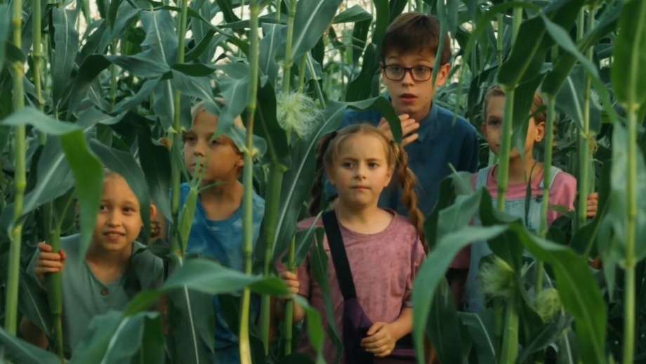 Комедия «Поле чудес» 2025: дата выхода, сюжет, актеры