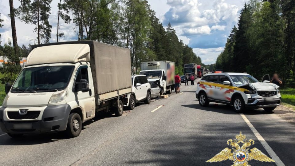 Пятилетняя девочка и ее беременная мать пострадали в массовом ДТП в Подмосковье