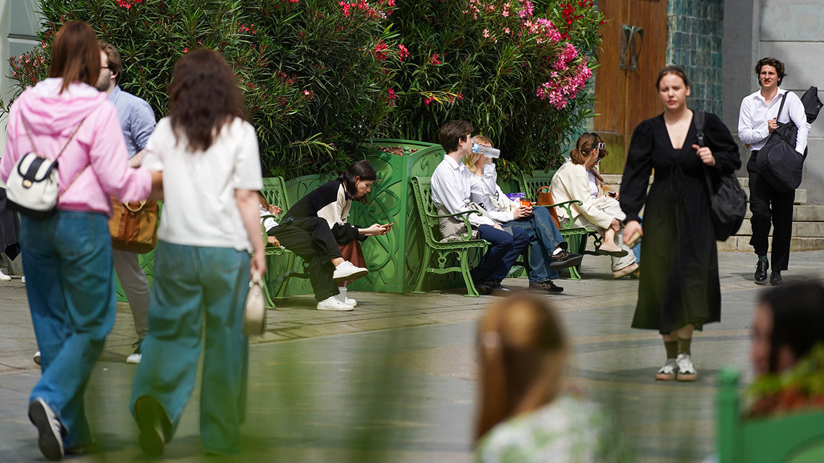 Синоптик Вильфанд: Температура в Москве понизится почти на 10 градусов