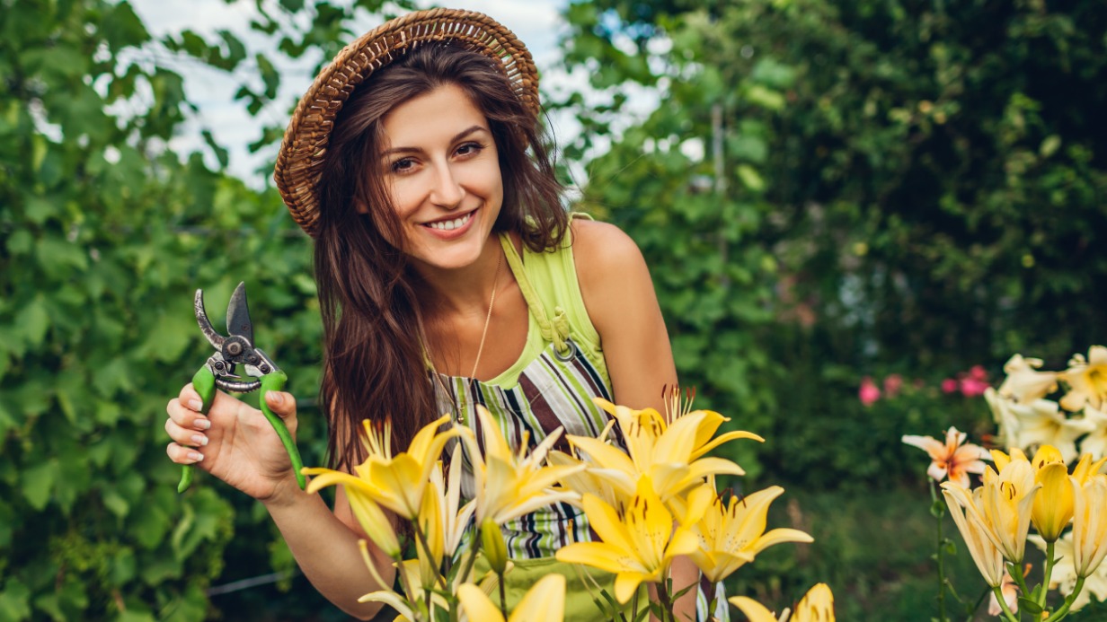 Садовый секатор — универсальный инструмент для обрезки крон деревьев, ягодных и декоративных кустарников, нарезки черенков. Несмотря на то что сегодня появляются новые, современные гаджеты, многие дачники продолжают пользоваться проверенными и недорогими средствами