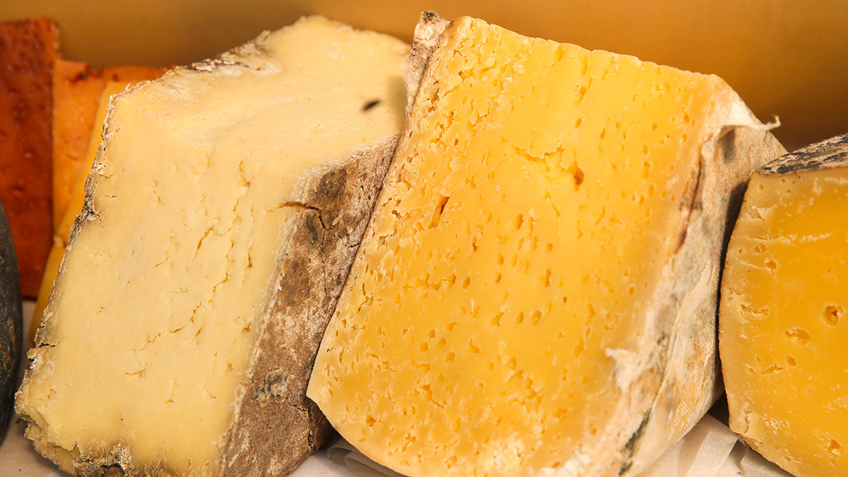 Фермер из Белгородской области отправляет сыры в зону СВО