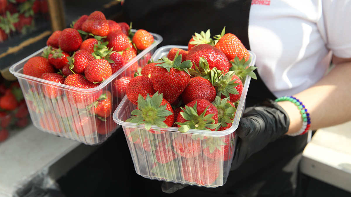 Как выбрать натуральную клубнику