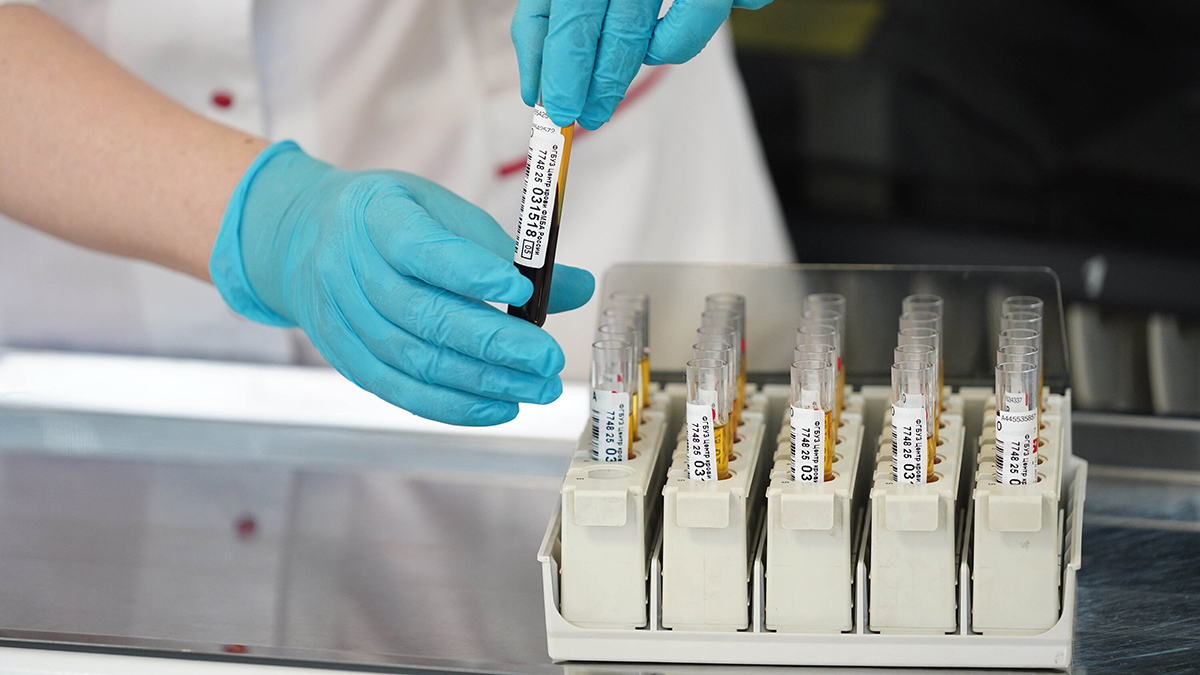 СМИ: Более 300 новых случаев заражения чикунгуньей зафиксировали на юге Китая