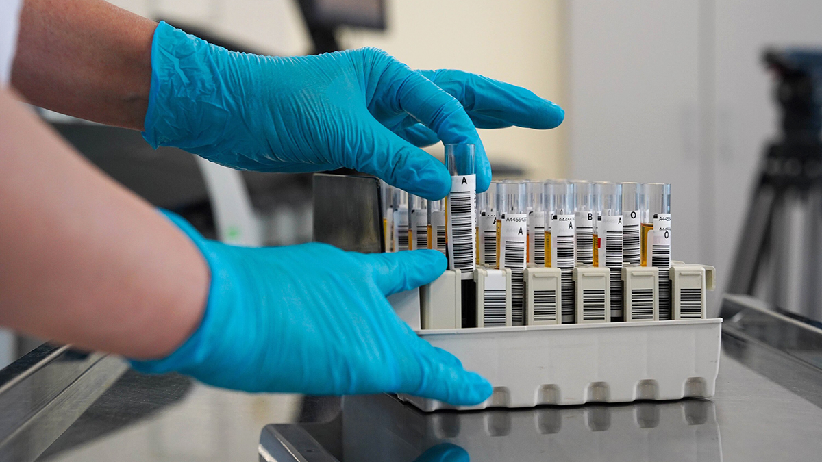 Врач Мухина назвала опасные бактерии, которые пробудились из-за погоды в России