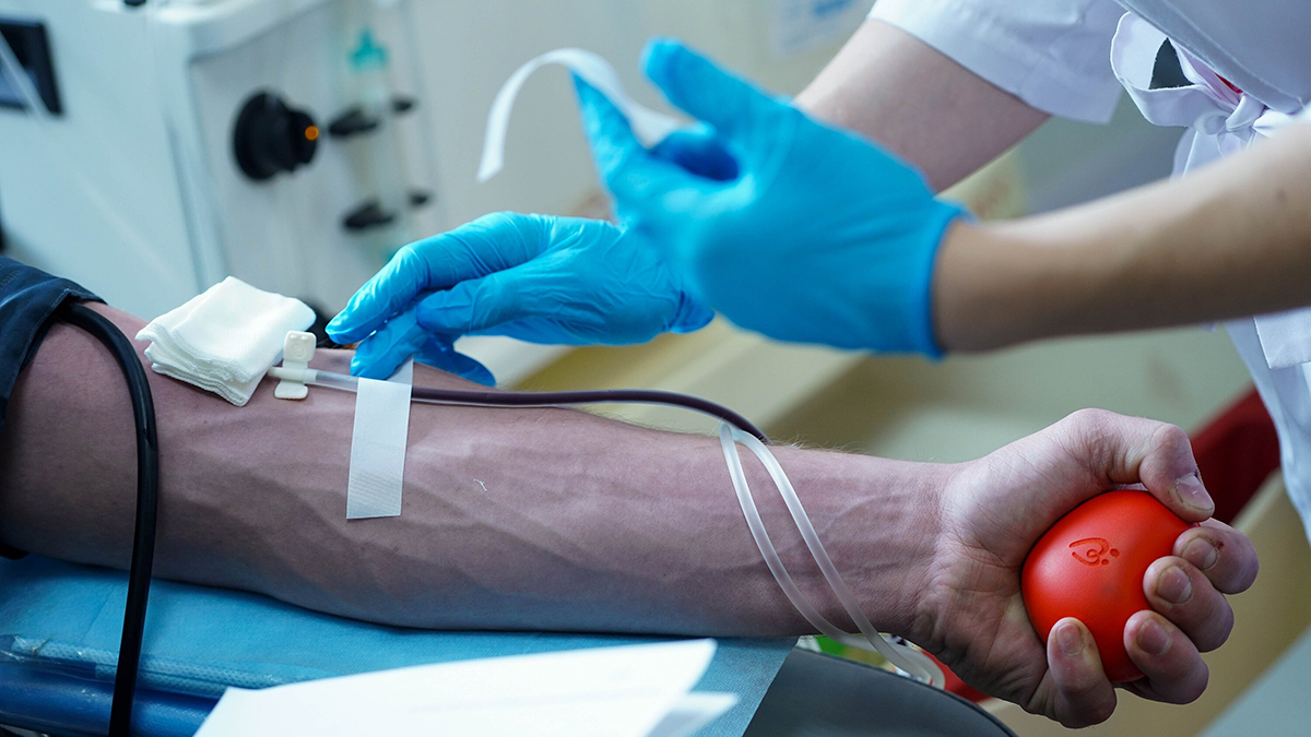 Надо ли уведомить работодателя о планах стать донором крови