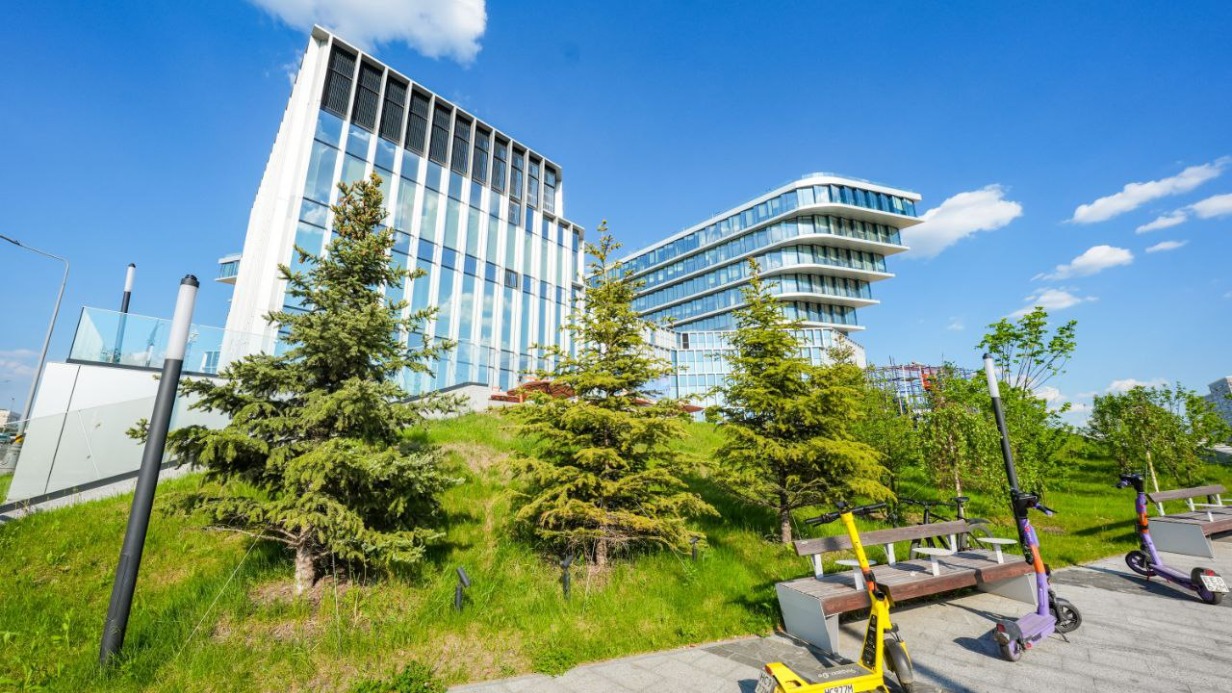 Более 1,5 тысячи деревьев украсят территории возле объектов транспорта в Москве