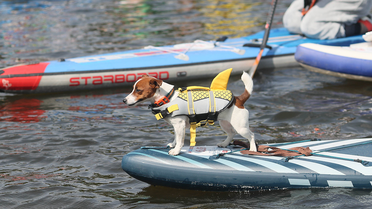 Когда в Москву вернется жара