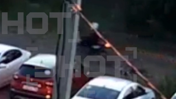 Shot: Несовершеннолетний байкер намеренно переехал щенка в Воронежской области