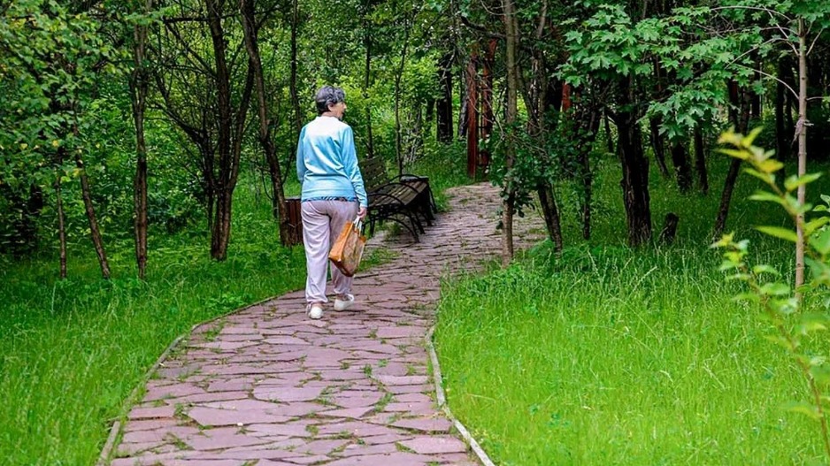 Дикая природа рядом: почему важно не сходить с тропинок в лесу