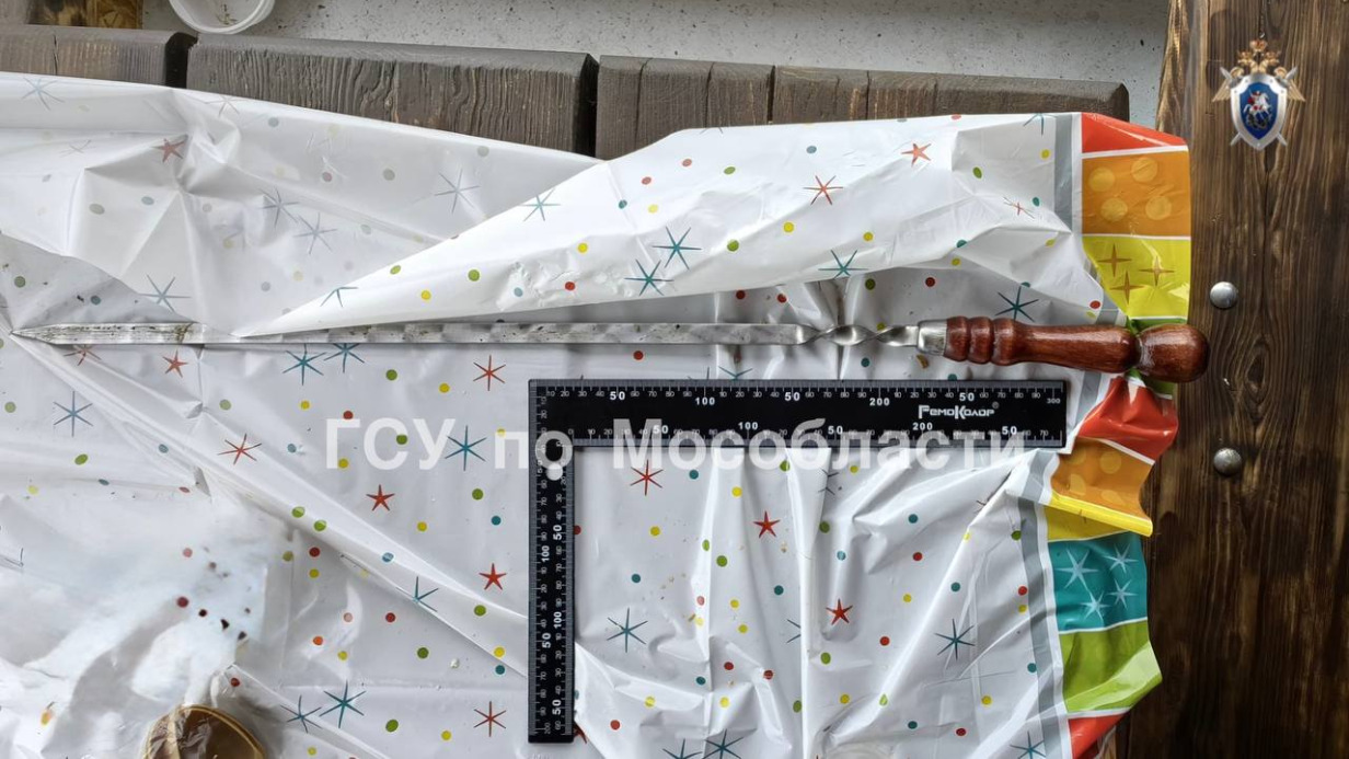 Мужчина заколол шампуром знакомого во время шашлыков в Подмосковье