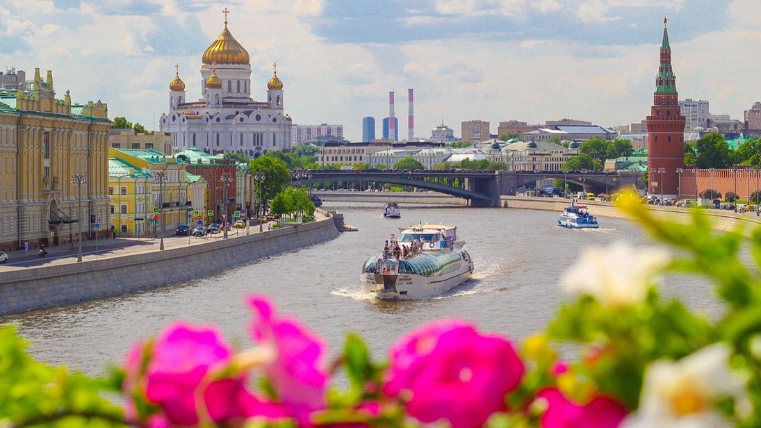 Гостей фестиваля «Сады и цветы» ждут вишни, березовый серпантин и лес на площади