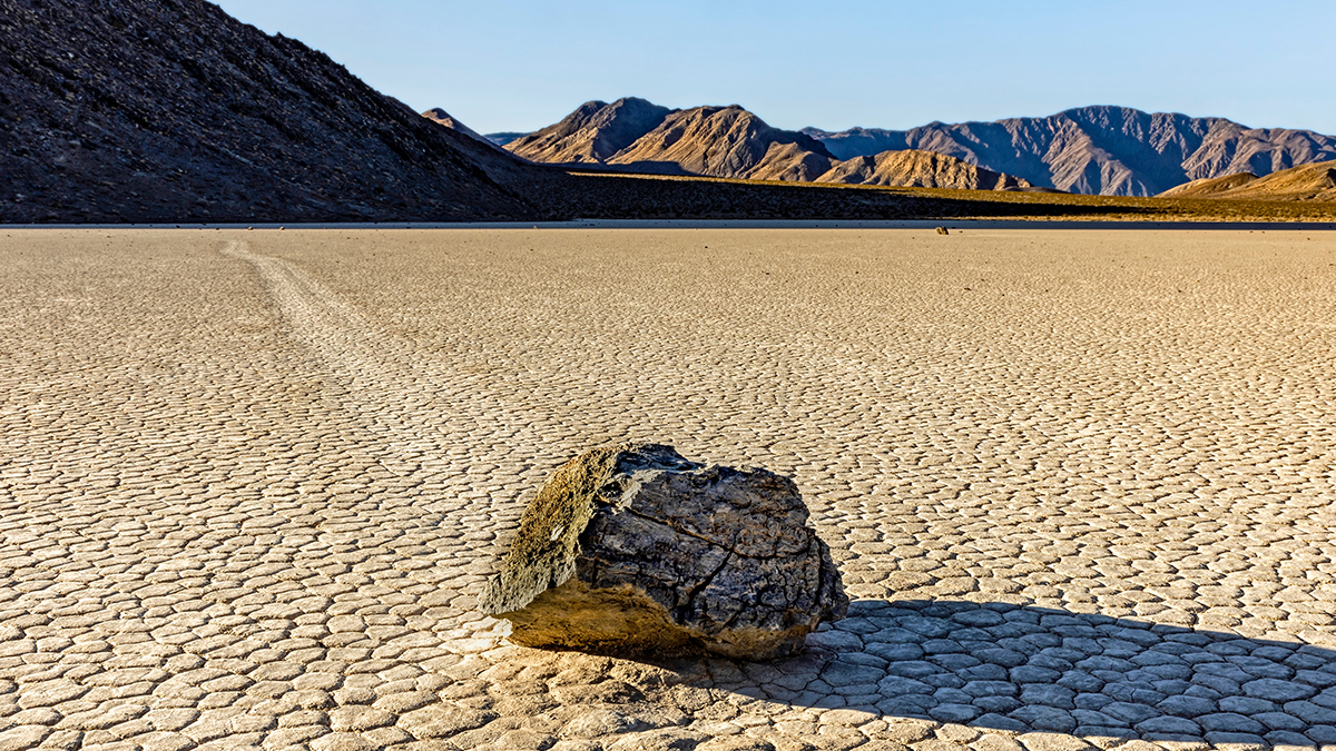 Неожиданное бурное цветение началось в американской Долине Смерти