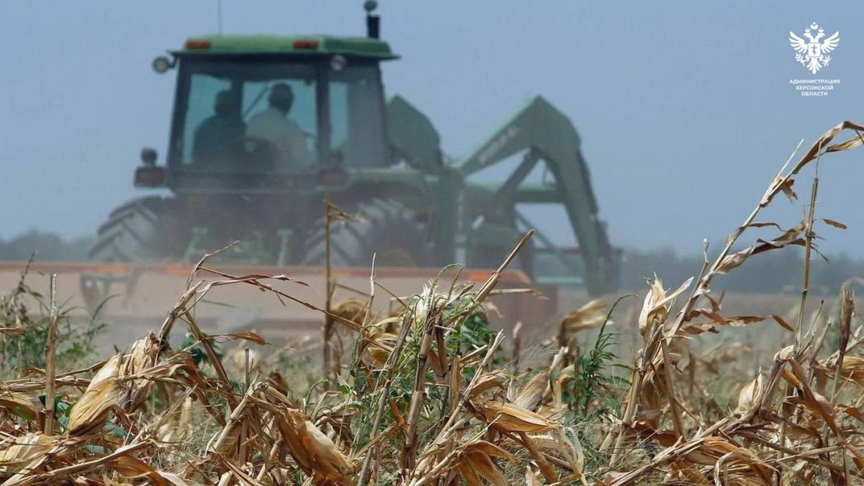 Режим ЧС ввели в Херсонской области из-за массовой гибели урожая