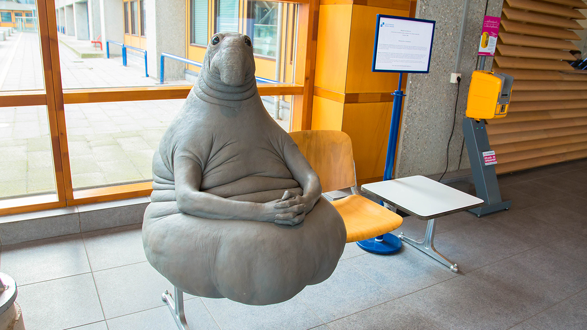 Бар в аэропорту Шереметьево выплатит два миллиона рублей из-за Ждуна