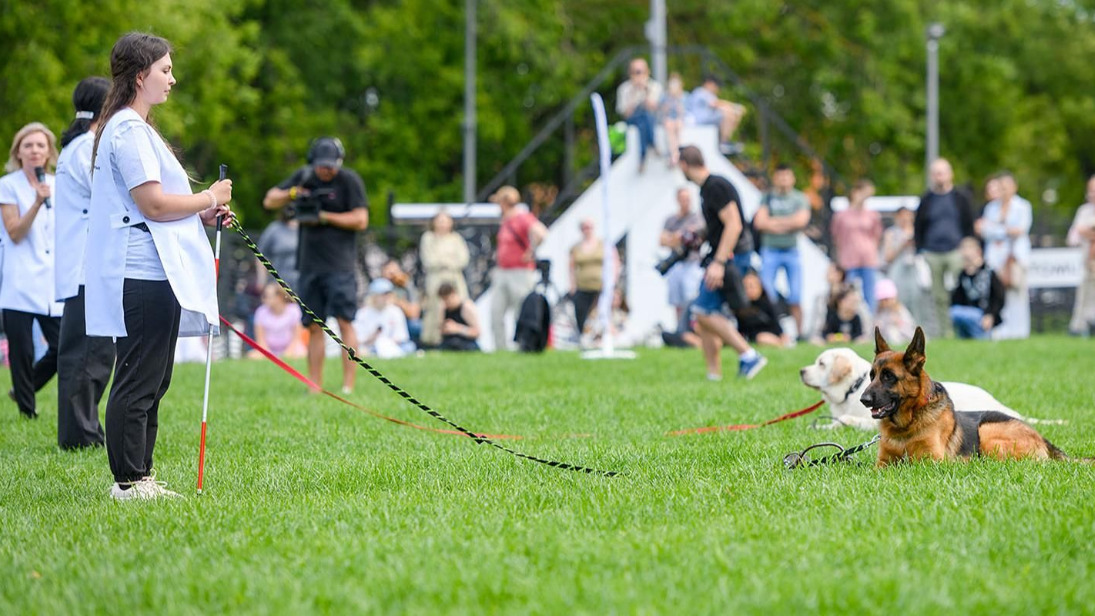 Горожане увидят выступления служебных собак в рамках проекта «Питомцы в Москве»