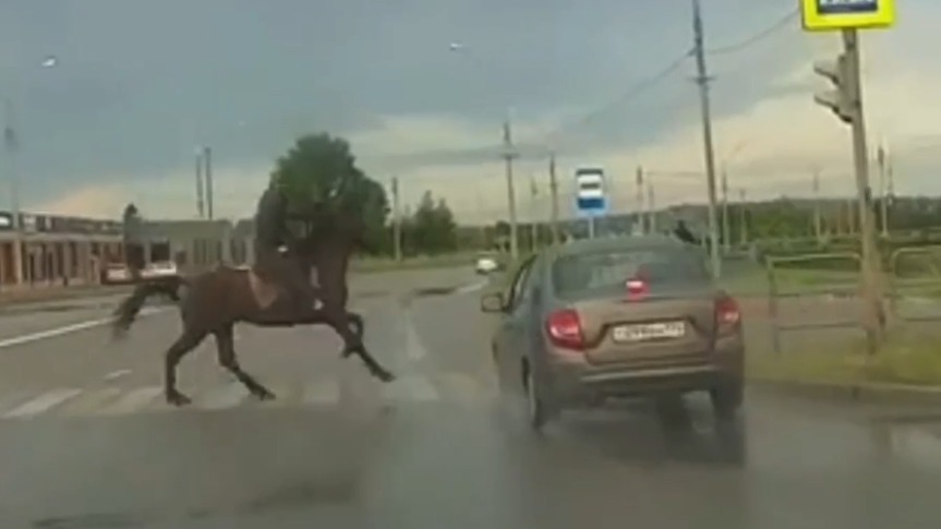 Машина сбила всадника в Магнитогорске