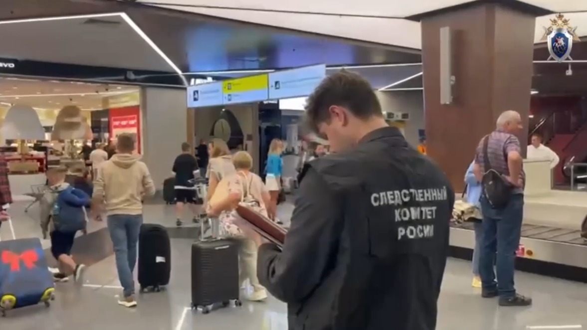 Мужчина швырнул ребенка на пол в аэропорту Шереметьево: почему он это сделал и что с малышом