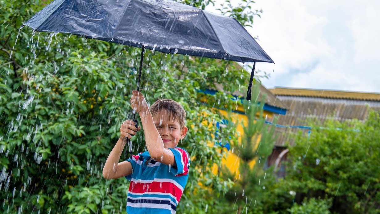 Как защитить растения в открытом грунте во время летних холодов
