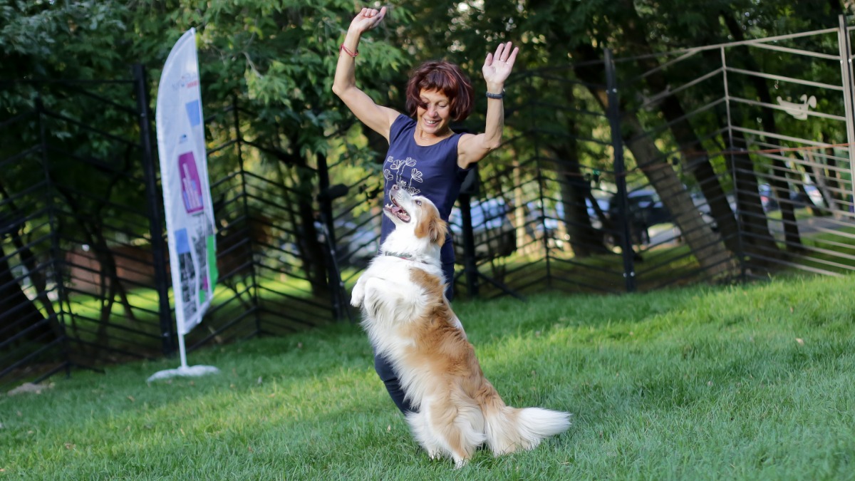 Искусство послушания: в столице пройдет первый чемпионат на «Кубок столицы» по спортивной дисциплине «послушание»