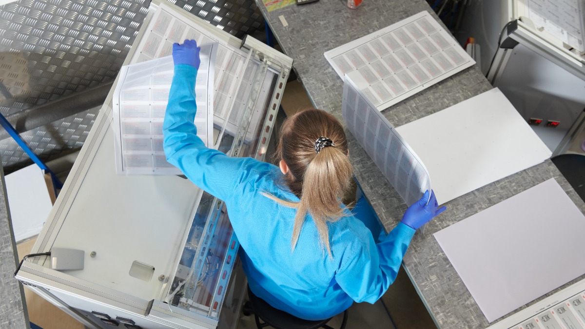 Столичные компании наращивают производство изделий из бумаги