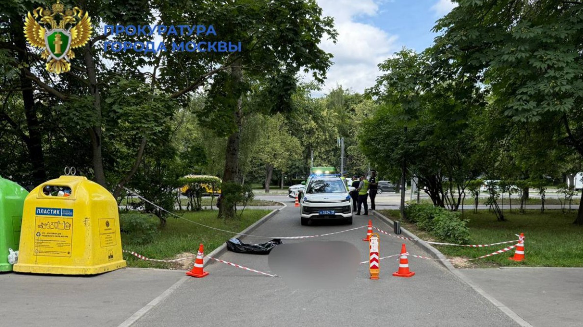 Суд отправил в СИЗО мужчину, сбившего насмерть пенсионерку в Москве