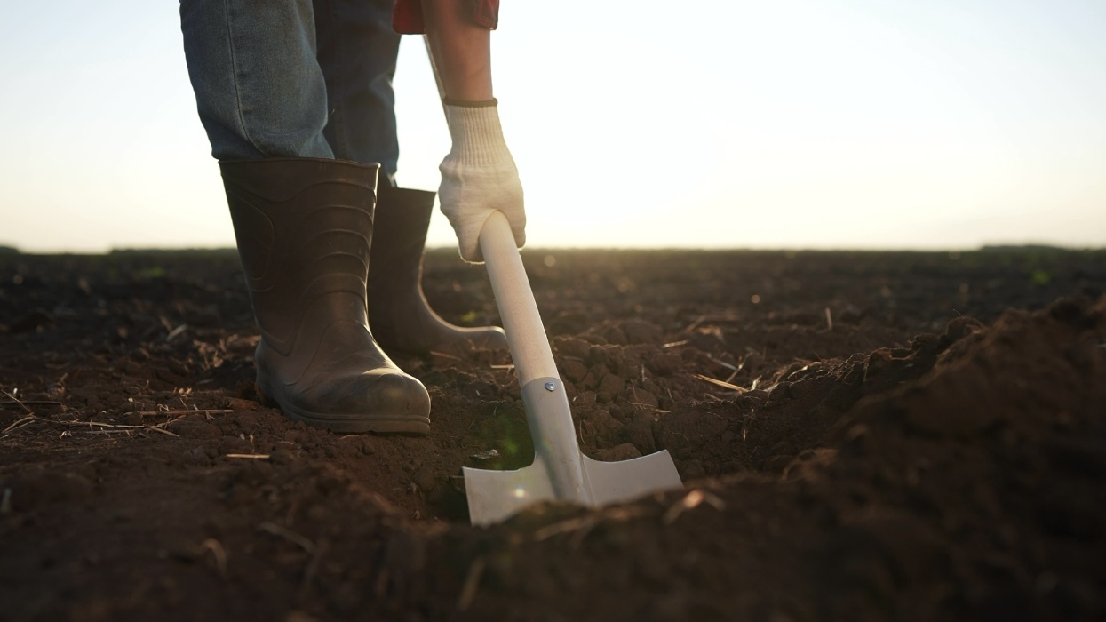 Люди просили закопать их в землю в Ленобласти: в чем смысл таких обрядов и опасны ли они