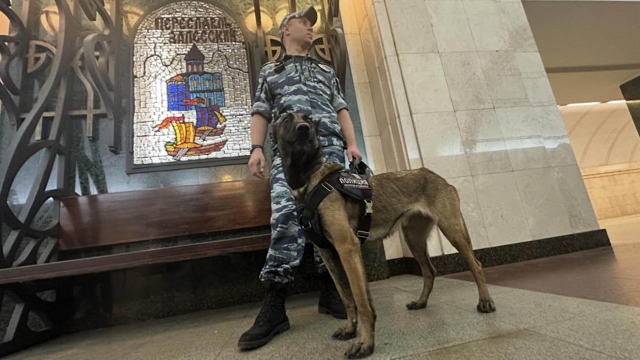 Полиция в московском метро: как охраняют подземку — видеонаблюдение, поиск оружия и ловля преступников