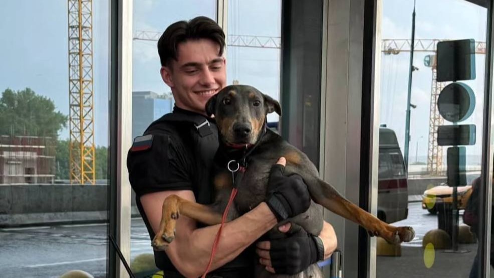 Новый кумир: россиянки в соцсетях сходят с ума от охранника из аэропорта Внуково