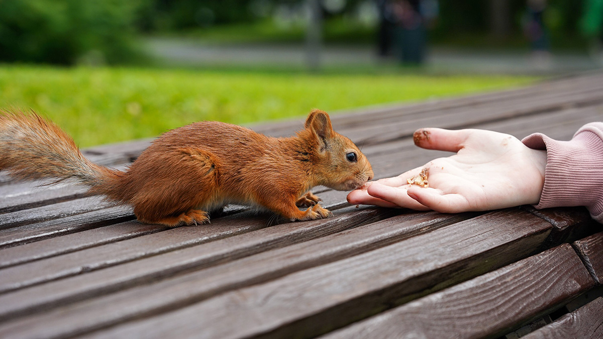 Погода в Москве 9 июля 2025 года