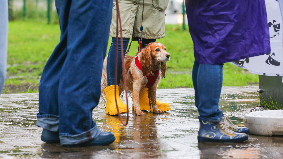 Погода в Москве с 18 по 24 августа