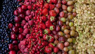 Чем полезны ягоды