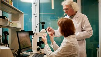 Москва — Магадан: межрегиональные связи как рецепт экономического роста