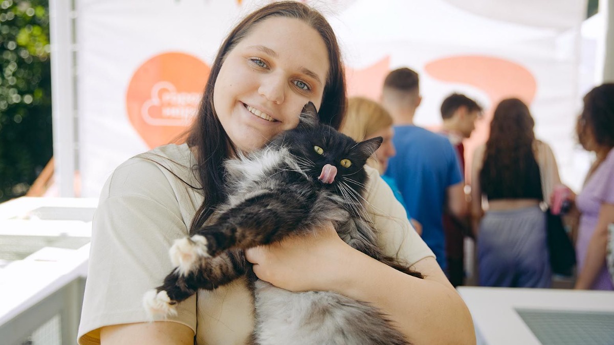 Мастер-классы и шоу кошек ждут посетителей фестиваля «Город неравнодушных»