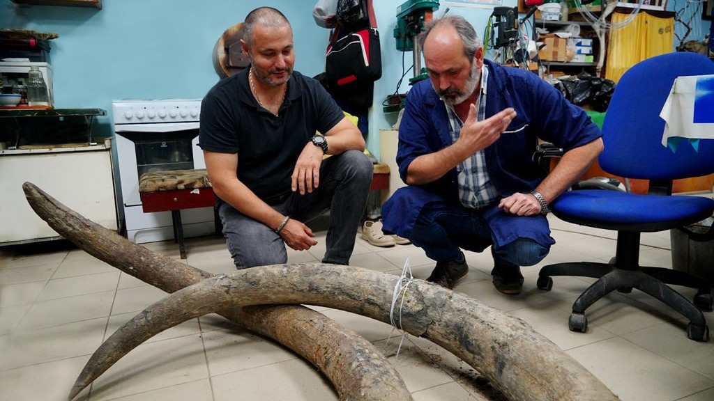 Фотограф-натуралист в Астраханской области нашел трехметровые бивни мамонта