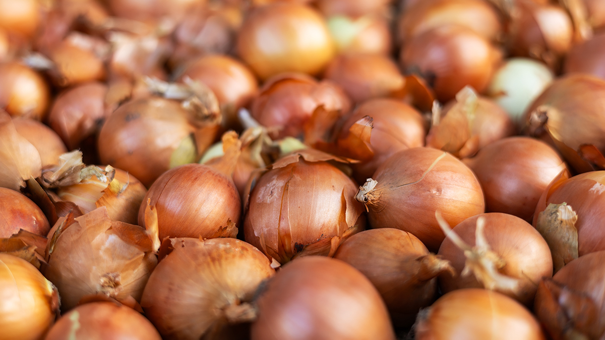 Народные приметы на 16 октября