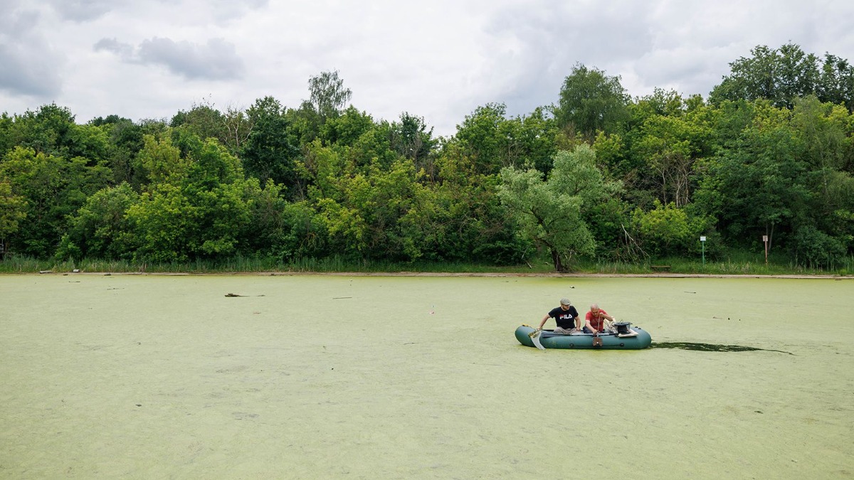 Ученые исследуют водные экосистемы в городской части «Лосиного Острова» 