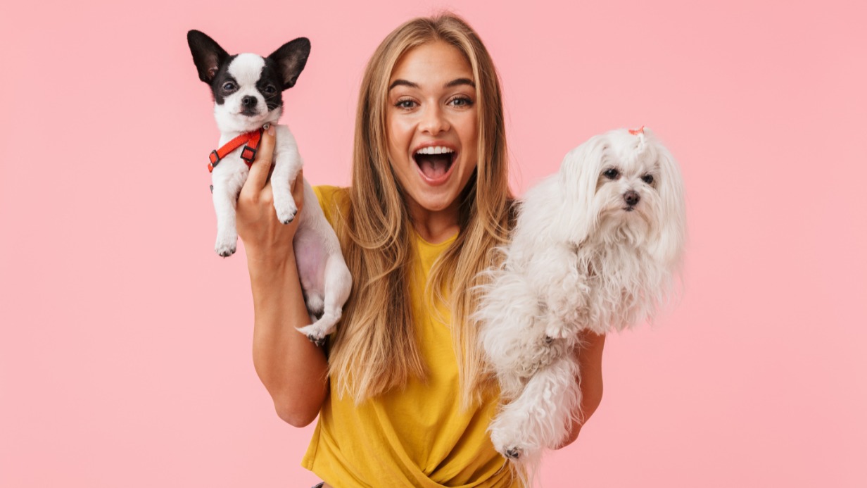 Как научить собаку команде сидеть