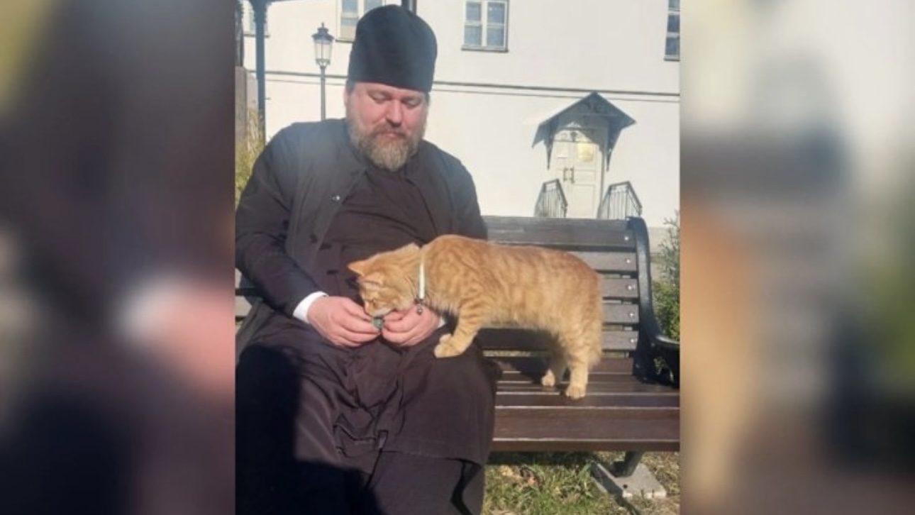 СМИ узнали о судьбе «самого православного котика России» Урсика из монастыря