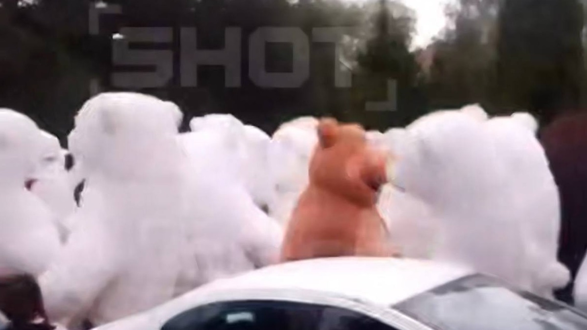 Стало известно, кто заказал к себе в баню на день рождения 100 белых медведей