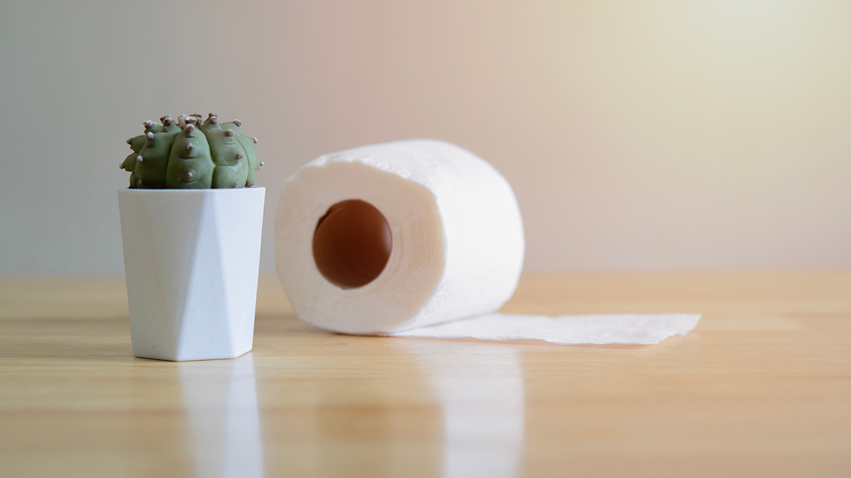 Трещина заднего прохода: что делать, лечение, профилактика