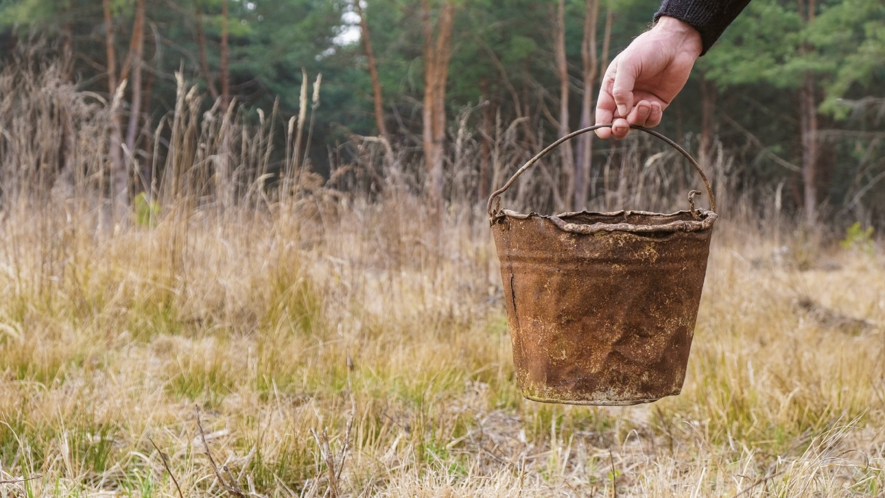 МК: Участник «Давай поженимся» облил фекалиями салон красоты и ресторан в Пущине
